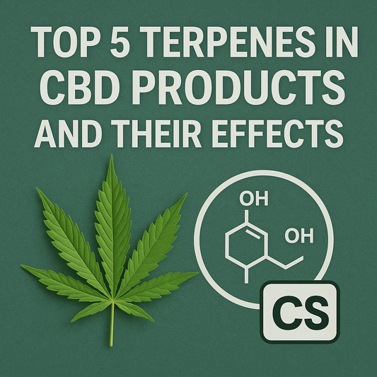 Top 5 Terpenes in CBD Products and Their Effects