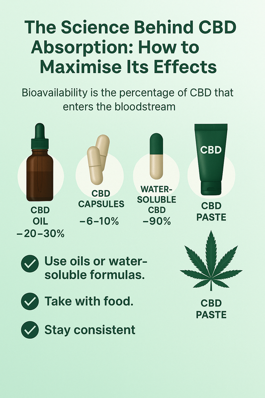 The Science Behind CBD Absorption: How to Maximise Its Effects