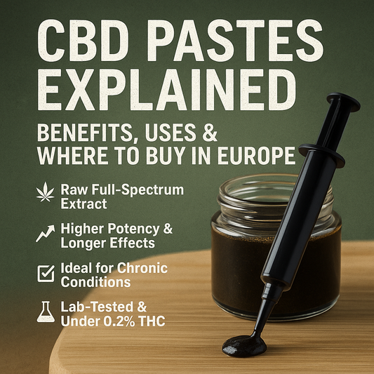 CBD Pastes Explained: Benefits, Uses & Where to Buy in Europe