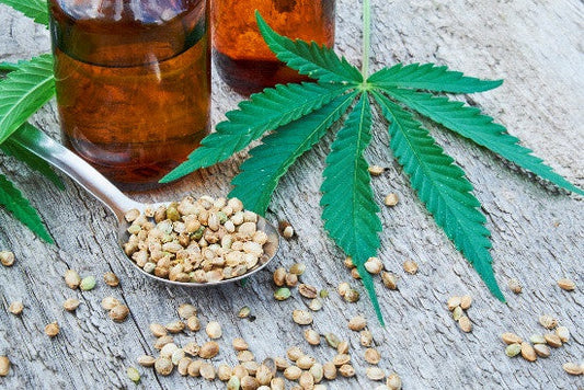 What is CBD? A Beginner’s Guide to Understanding Cannabidiol