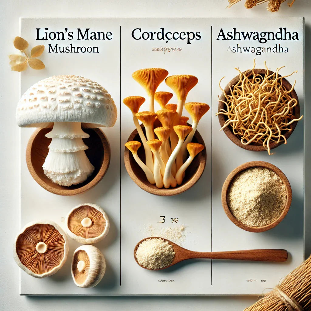 The Power of Adaptogens: Lion’s Mane, Cordyceps & Ashwagandha Explained