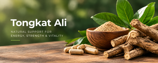 Tongkat Ali & Black Seed Oil: The Complete UK Guide to Natural Vitality Support