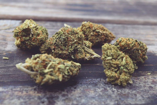What Are Terpenes? A Beginner’s Guide Explained By Improved Health