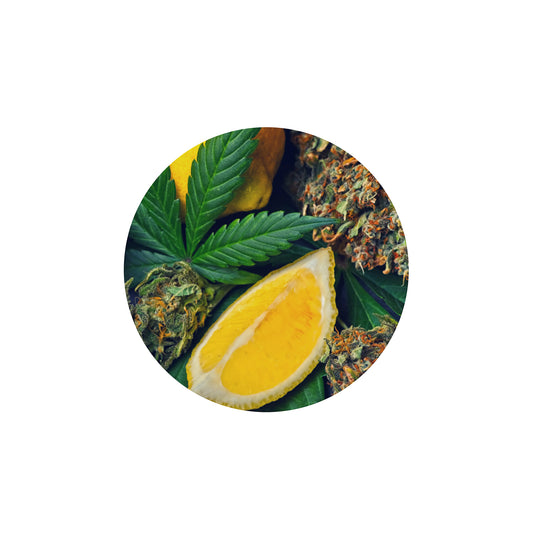 Botanicial Derived Terpenes